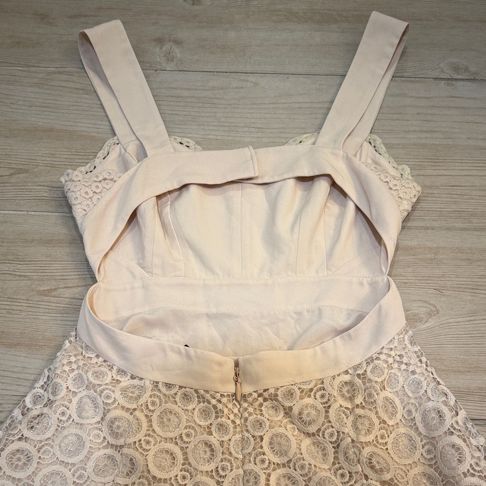BCBG MaxAzria Metallic Lace Mini Cocktail Alena Dress Size 2 Cream Beige Silver - Picture 5 of 12